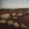 barrens_wall