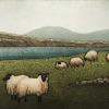 flockandhills