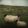 flockandwalls
