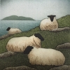 Flocksea