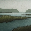 saltmarsham