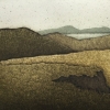 turfandhills