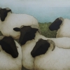 wisland-flock